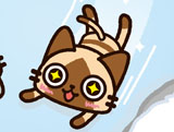 艾露猫