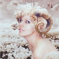 你会如何面对白羊的表白？